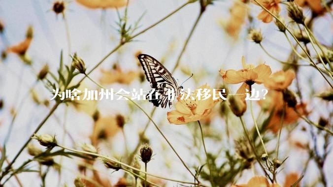 为啥加州会站在非法移民一边？