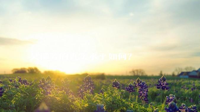 吴柳芳的真实水平如何？
