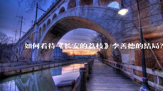 如何看待《长安的荔枝》李善德的结局？