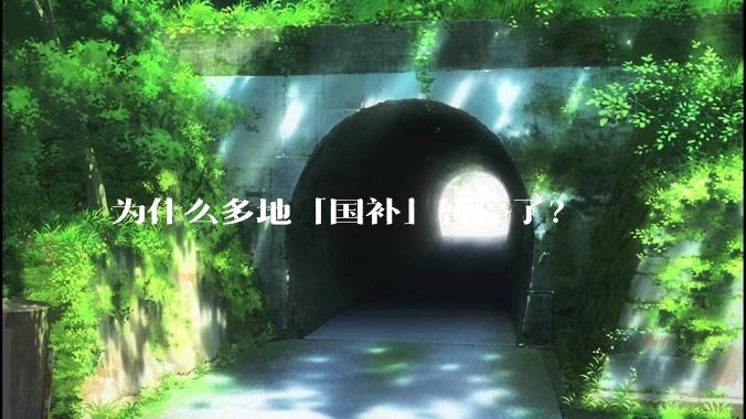 为什么多地「国补」暂停了？