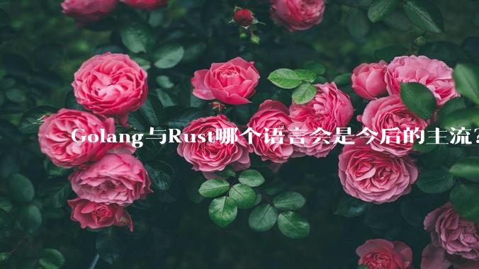 Golang与Rust哪个语言会是今后的主流？