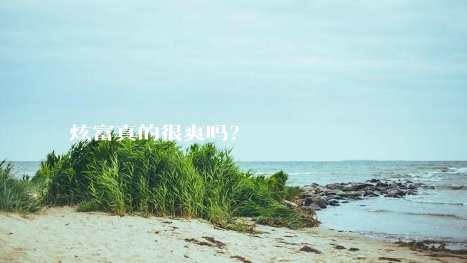 炫富真的很爽吗？